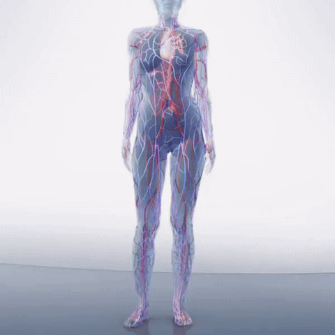 Describes the appearance of the image